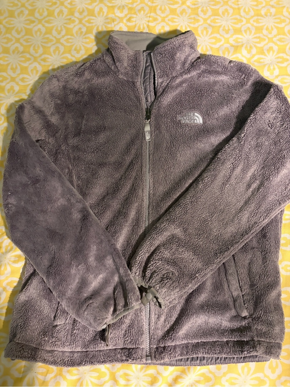 The North Face Women's Plush Fleece Jacket - Light Gray